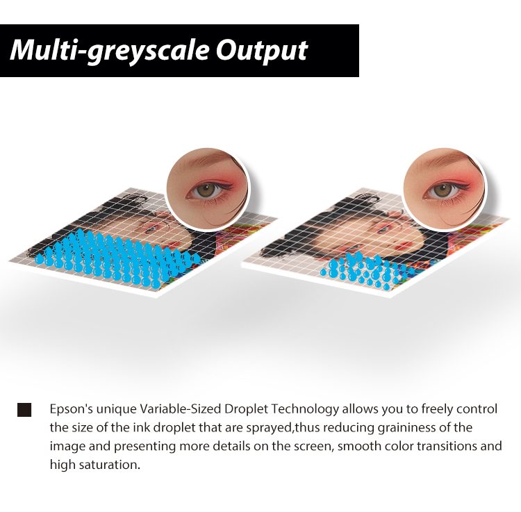 Epson i1600 Printhead Angle View